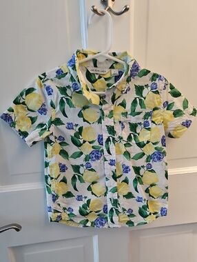 Janie and Jack Yellow Lemon & Blue Floral Button-Down Shirt